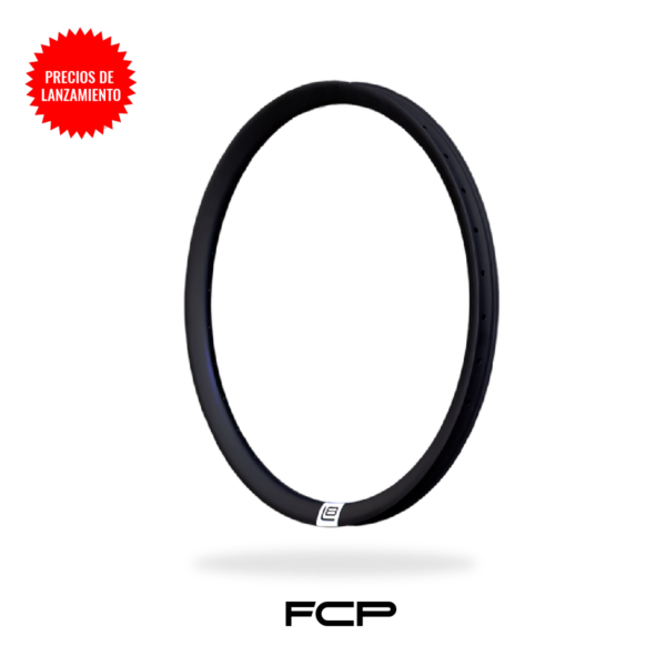 FCP 29